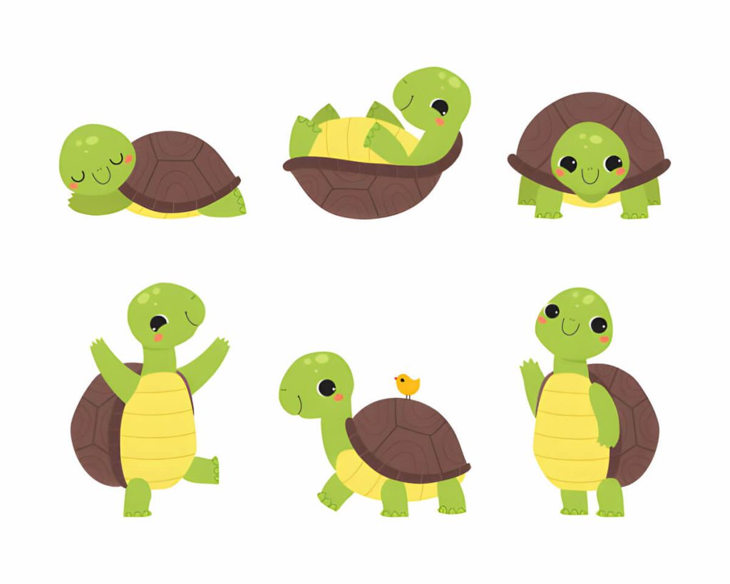 Do Turtles Have Emotions? - Turtle Pet Guide