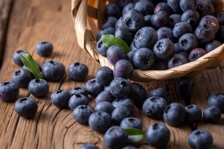 can turtles eat blueberries