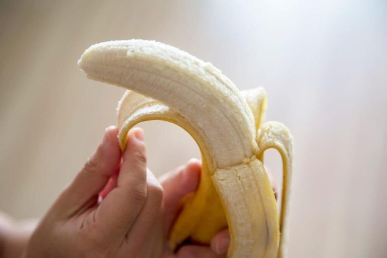 can turtles eat bananas
