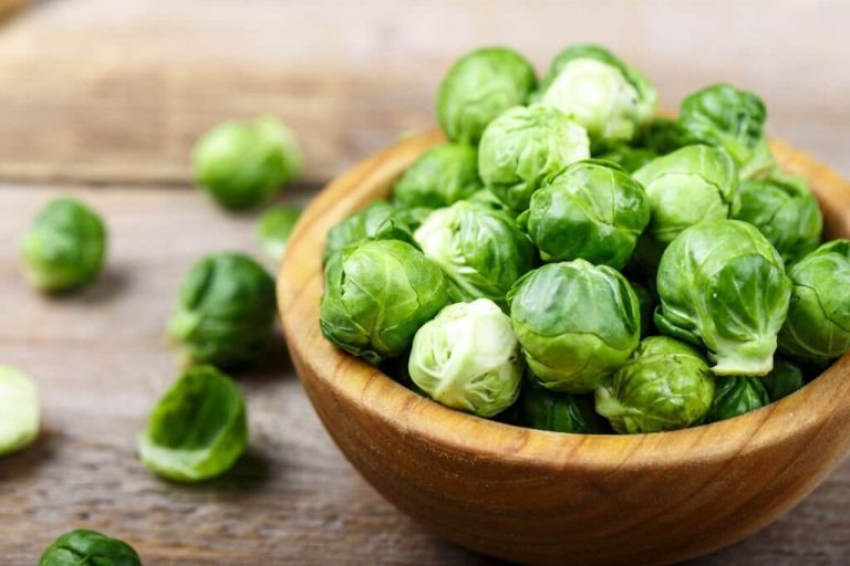 can turtles eat brussels sprouts