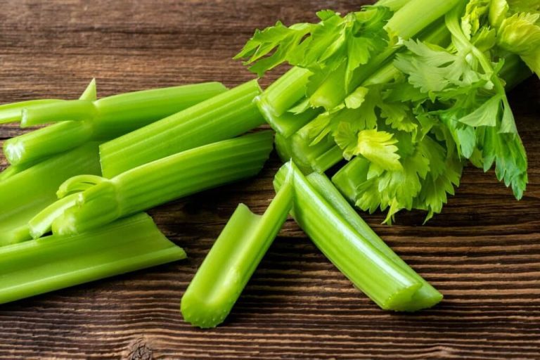 can turtles eat celery