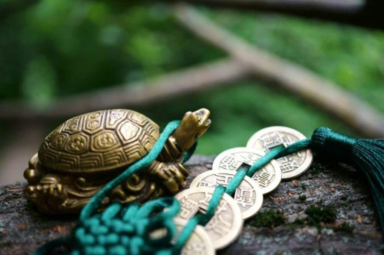 are turtles good luck