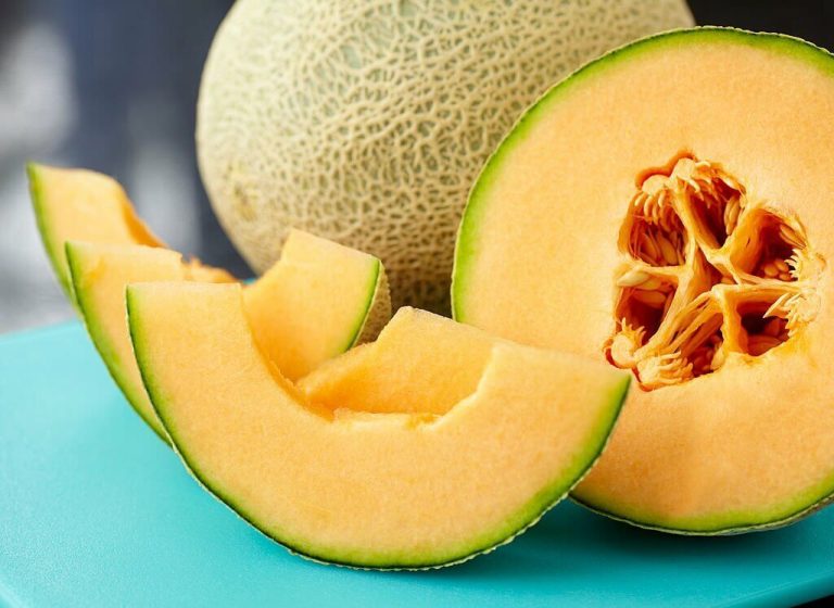 can turtles eat cantaloupe