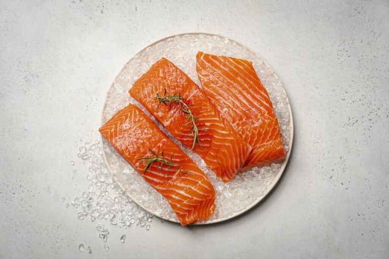 can turtles eat salmon