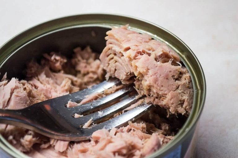 can turtles eat tuna