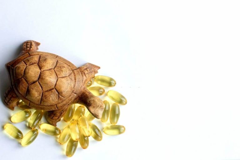 vitamins for turtles