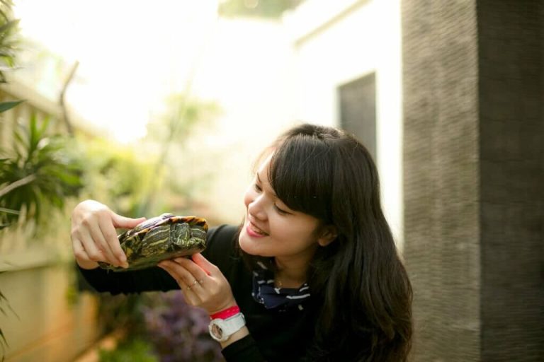 how to make your turtle not afraid of you