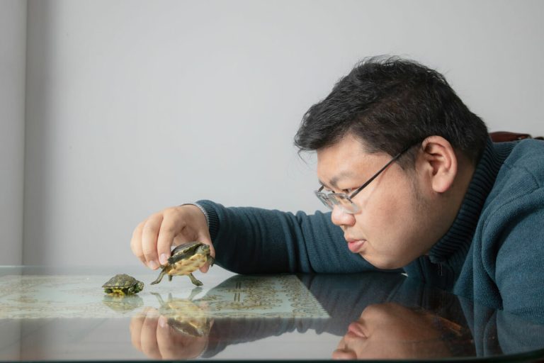 do pet turtles eat less in winter