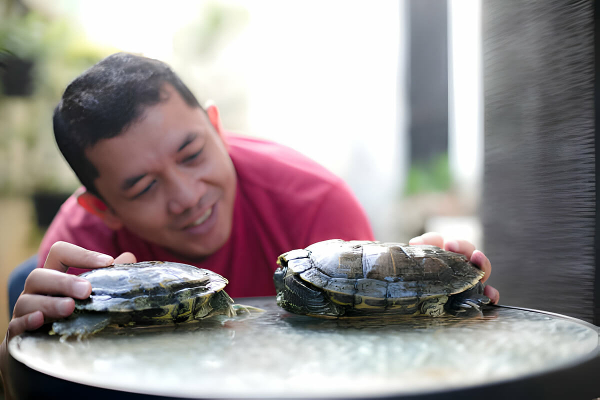 do turtles smell bad as pets